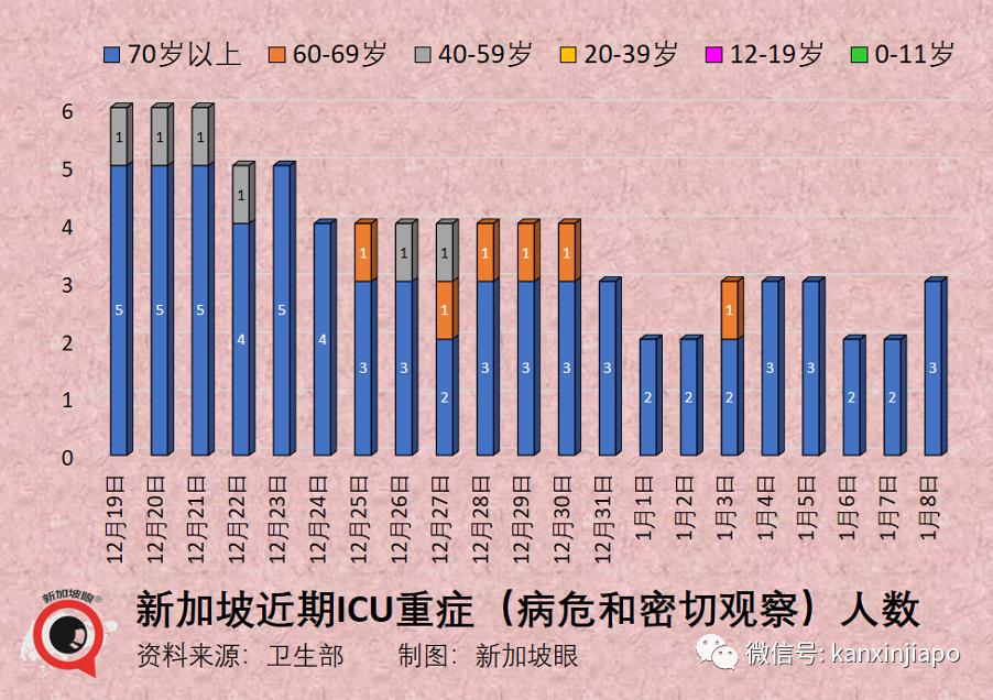 新加坡开放入境政策更新，全球旅游新里程碑开启